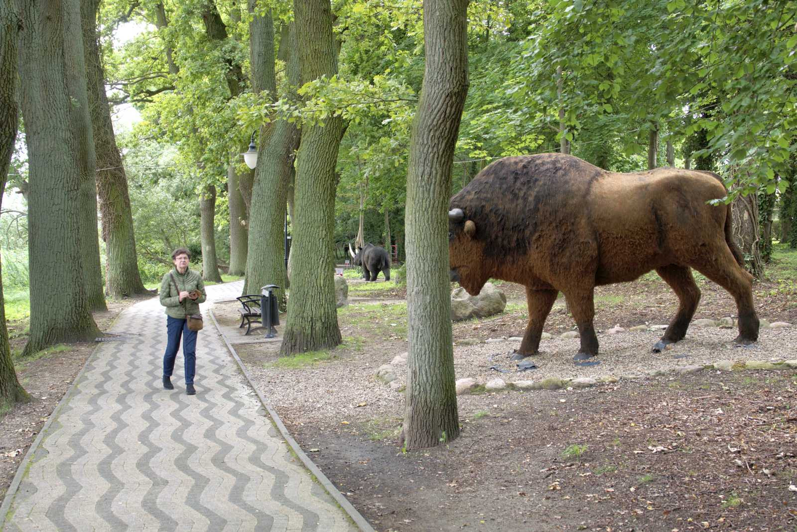 Klicke auf die Grafik für eine vergrößerte Ansicht  Name: _SNY1898R.jpg Ansichten: 0 Größe: 591,8 KB ID: 3337486