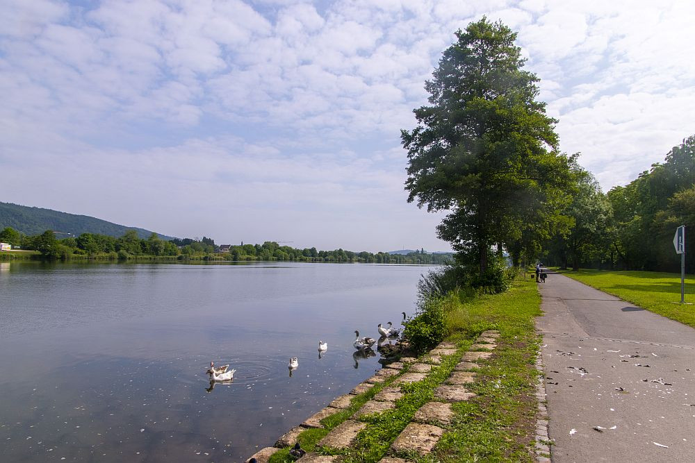 Klicke auf die Grafik für eine vergrößerte Ansicht  Name: 05 Auf dem Weg nach Trier.jpg Ansichten: 0 Größe: 196,7 KB ID: 3337819