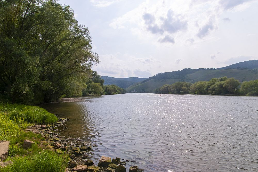 Klicke auf die Grafik für eine vergrößerte Ansicht  Name: 22 An der Mosel bei Filzen.jpg Ansichten: 0 Größe: 241,1 KB ID: 3337836