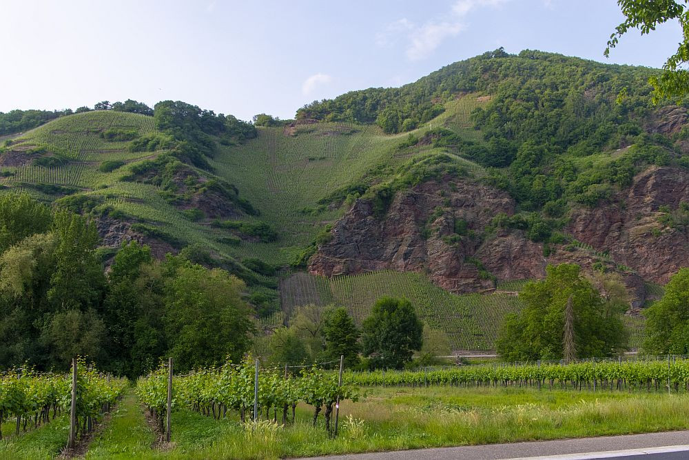 Klicke auf die Grafik für eine vergrößerte Ansicht  Name: 26 An der Mosel liegen die steilsten Weinberge der Welt.jpg Ansichten: 0 Größe: 277,8 KB ID: 3337840