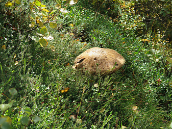 Klicke auf die Grafik für eine vergrößerte Ansicht

Name: IMG_2584.jpg
Ansichten: 0
Größe: 1,62 MB
ID: 3339125