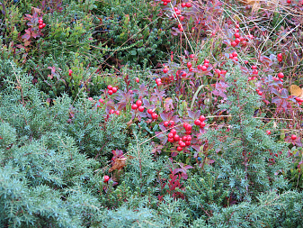 Klicke auf die Grafik für eine vergrößerte Ansicht

Name: IMG_2583.jpg
Ansichten: 0
Größe: 1,60 MB
ID: 3339126