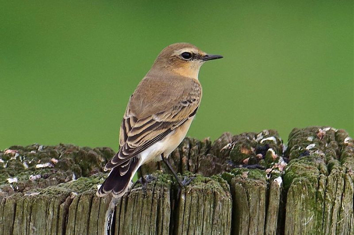 Klicke auf die Grafik für eine vergrößerte Ansicht

Name: IMGP7241.jpg
Ansichten: 227
Größe: 119,9 KB
ID: 3339780