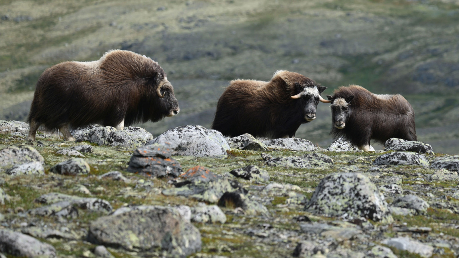 Klicke auf die Grafik für eine vergrößerte Ansicht

Name: 250808-1400-1186.jpg
Ansichten: 174
Größe: 564,7 KB
ID: 3339976