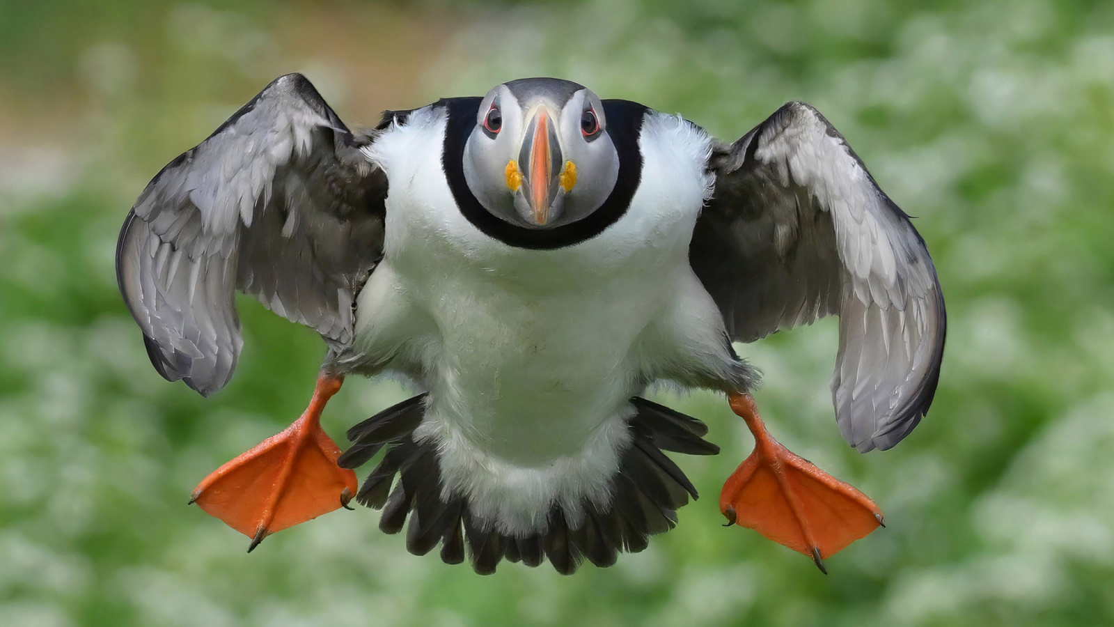 Klicke auf die Grafik für eine vergrößerte Ansicht

Name: 230710-1748-10585extrait.jpg
Ansichten: 166
Größe: 367,9 KB
ID: 3339978