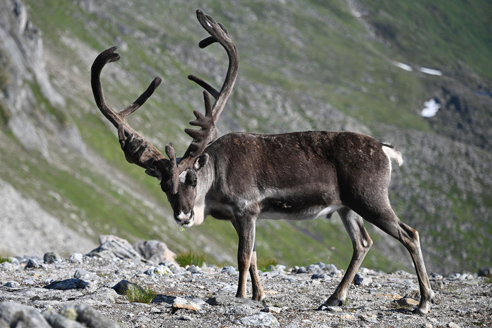 Klicke auf die Grafik für eine vergrößerte Ansicht

Name: 250803-1514-0466.jpg
Ansichten: 168
Größe: 711,7 KB
ID: 3339982