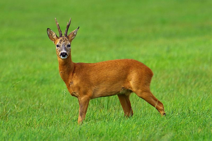 Klicke auf die Grafik für eine vergrößerte Ansicht  Name: IMGP7254.jpg Ansichten: 0 Größe: 102,7 KB ID: 3340545