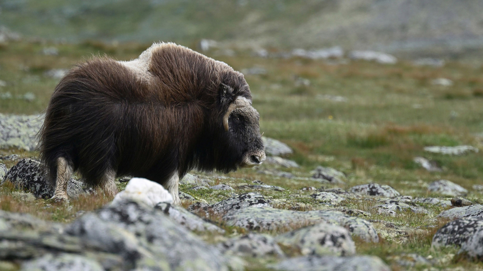 Klicke auf die Grafik für eine vergrößerte Ansicht

Name: 250808-1407-1259.jpg
Ansichten: 138
Größe: 501,9 KB
ID: 3340639