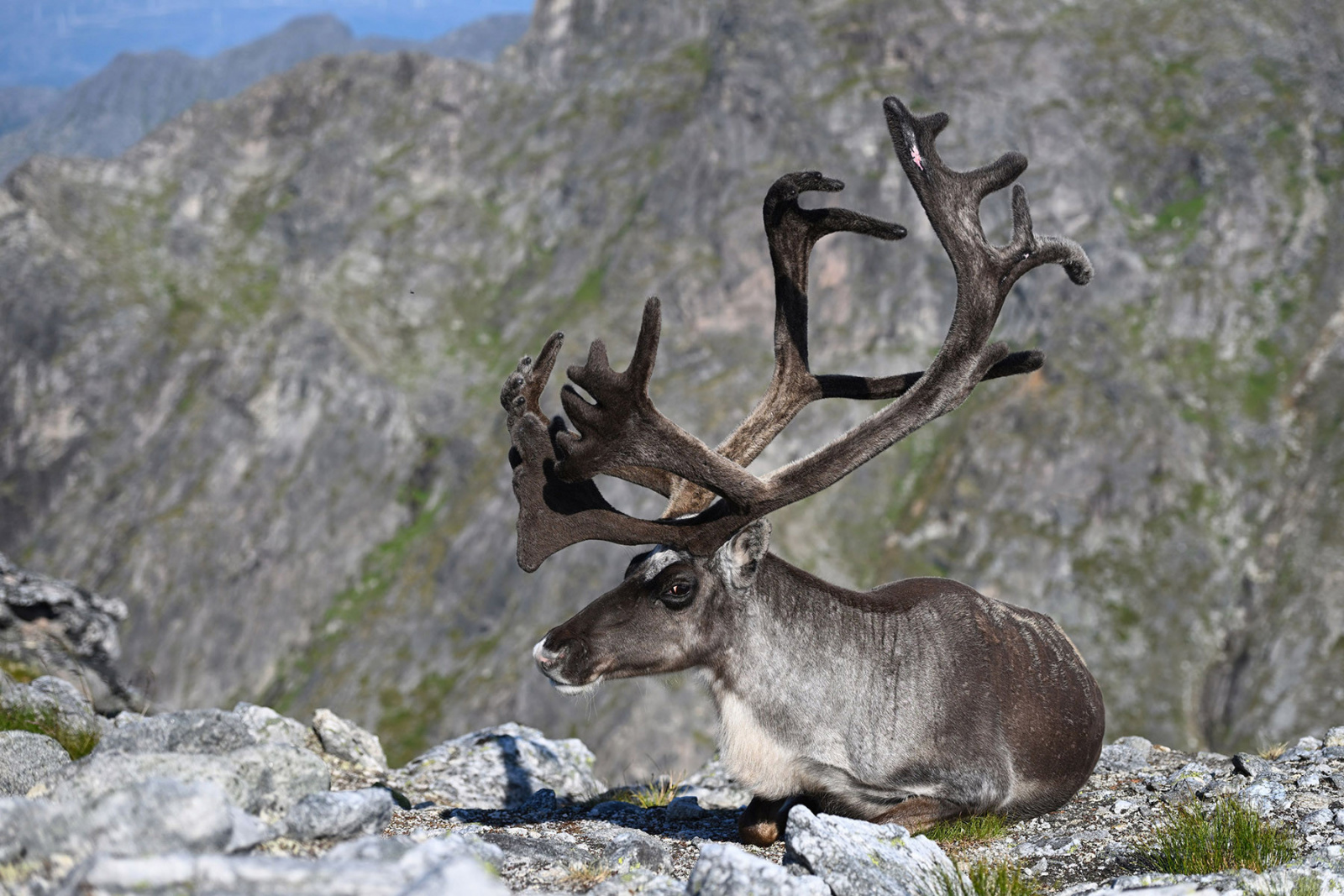 Klicke auf die Grafik für eine vergrößerte Ansicht

Name: 250803-1552-0627.jpg
Ansichten: 140
Größe: 630,9 KB
ID: 3340641