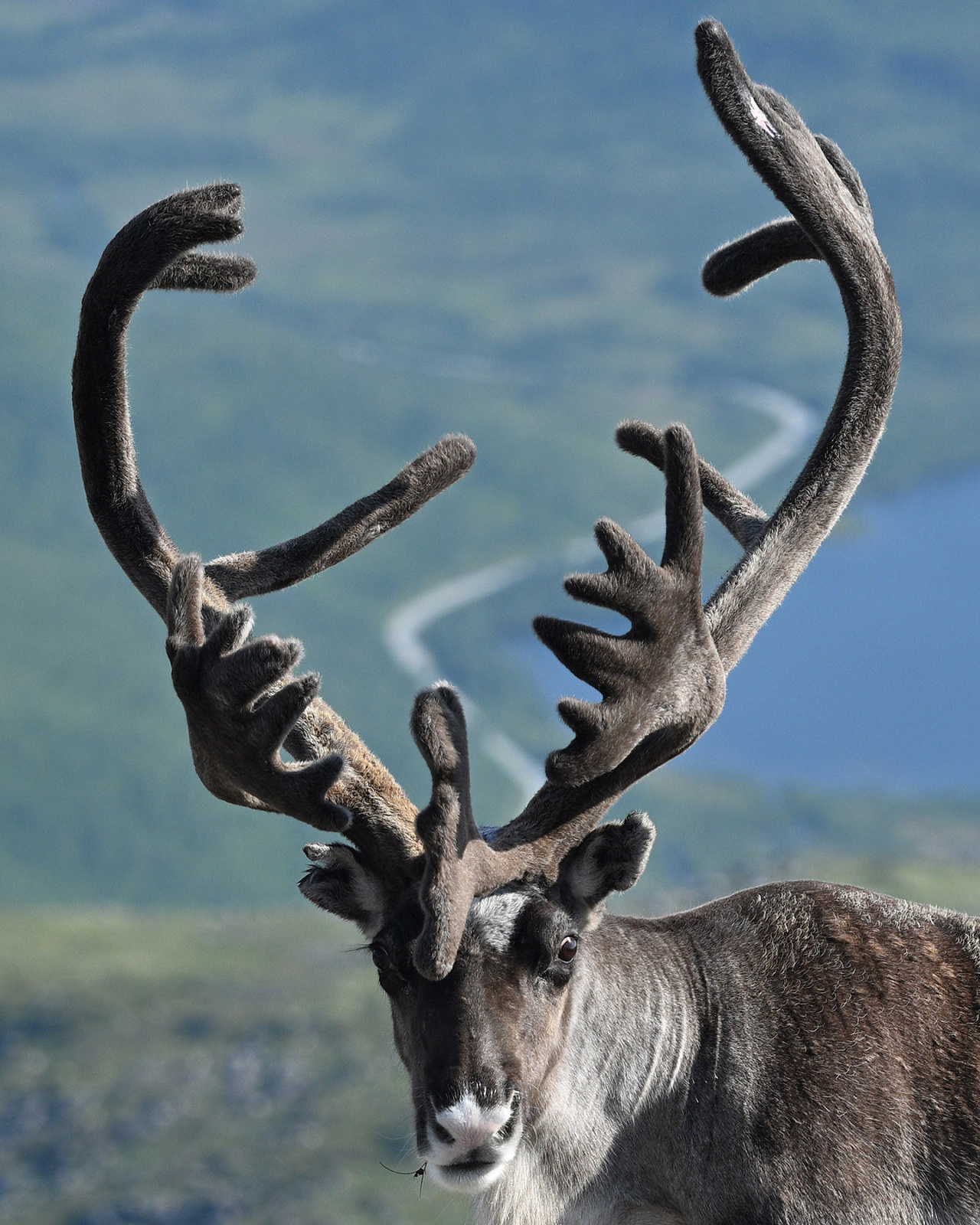 Klicke auf die Grafik für eine vergrößerte Ansicht

Name: 250803-1514-0462_extrait.jpg
Ansichten: 136
Größe: 787,2 KB
ID: 3340647