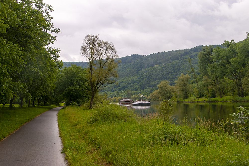 Klicke auf die Grafik für eine vergrößerte Ansicht  Name: 08 Typisches Bild an der Mosel.jpg Ansichten: 0 Größe: 246,2 KB ID: 3341723