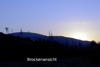 Klicke auf die Grafik für eine vergrößerte Ansicht  Name: DSC_8623.jpg Ansichten: 2 Größe: 218,7 KB ID: 3342435