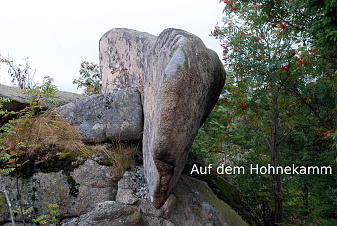 Klicke auf die Grafik für eine vergrößerte Ansicht

Name: DSC_8639.jpg
Ansichten: 409
Größe: 761,8 KB
ID: 3342440