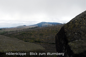 Klicke auf die Grafik für eine vergrößerte Ansicht

Name: DSC_8666.jpg
Ansichten: 407
Größe: 421,5 KB
ID: 3342445