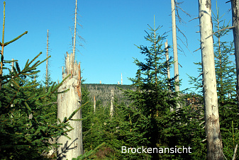 Klicke auf die Grafik für eine vergrößerte Ansicht  Name: DSC_8700.jpg Ansichten: 0 Größe: 687,5 KB ID: 3342453