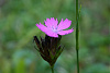 Klicke auf die Grafik für eine vergrößerte Ansicht

Name: K1024_DSC06288.jpg
Ansichten: 73
Größe: 76,4 KB
ID: 3342978