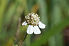 Klicke auf die Grafik für eine vergrößerte Ansicht

Name: K1024_DSC06241.jpg
Ansichten: 73
Größe: 72,9 KB
ID: 3342980