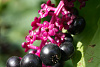 Klicke auf die Grafik für eine vergrößerte Ansicht

Name: K1024_DSC06263.jpg
Ansichten: 72
Größe: 133,3 KB
ID: 3342981