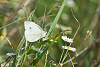 Klicke auf die Grafik für eine vergrößerte Ansicht

Name: K1024_DSC06282.jpg
Ansichten: 72
Größe: 152,3 KB
ID: 3342982