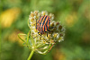 Klicke auf die Grafik für eine vergrößerte Ansicht

Name: K1024_DSC06302.jpg
Ansichten: 73
Größe: 108,1 KB
ID: 3342979