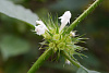 Klicke auf die Grafik für eine vergrößerte Ansicht

Name: K1024_DSC06319.jpg
Ansichten: 72
Größe: 102,6 KB
ID: 3342984