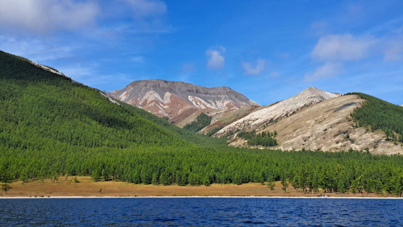 Klicke auf die Grafik für eine vergrößerte Ansicht

Name: photo_2025-08-31_14-47-17.jpg
Ansichten: 367
Größe: 257,6 KB
ID: 3343014