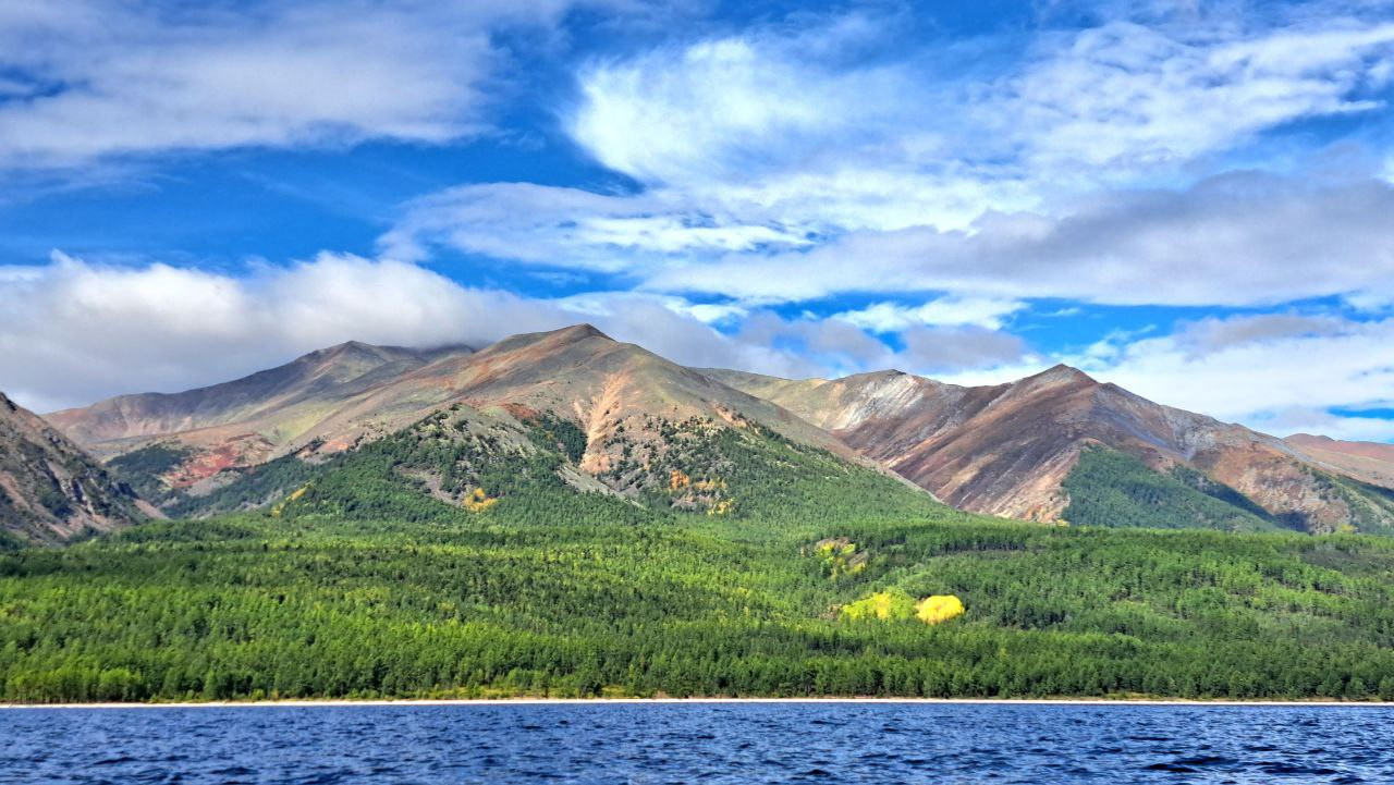 Klicke auf die Grafik für eine vergrößerte Ansicht

Name: photo_2025-08-31_19-07-04.jpg
Ansichten: 367
Größe: 273,2 KB
ID: 3343017