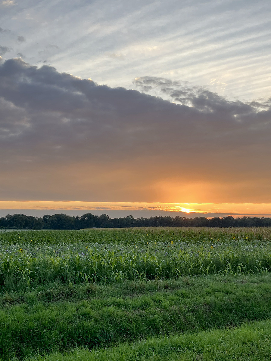Klicke auf die Grafik für eine vergrößerte Ansicht  Name: Abendradeln_2025_05.jpg Ansichten: 0 Größe: 324,1 KB ID: 3344428