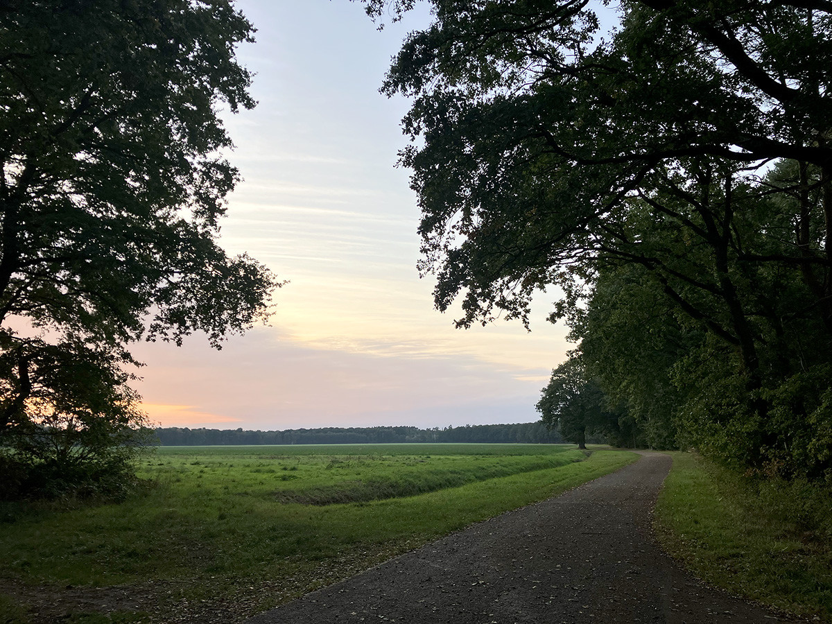 Klicke auf die Grafik für eine vergrößerte Ansicht  Name: Abendradeln_2025_06.jpg Ansichten: 0 Größe: 486,4 KB ID: 3344431