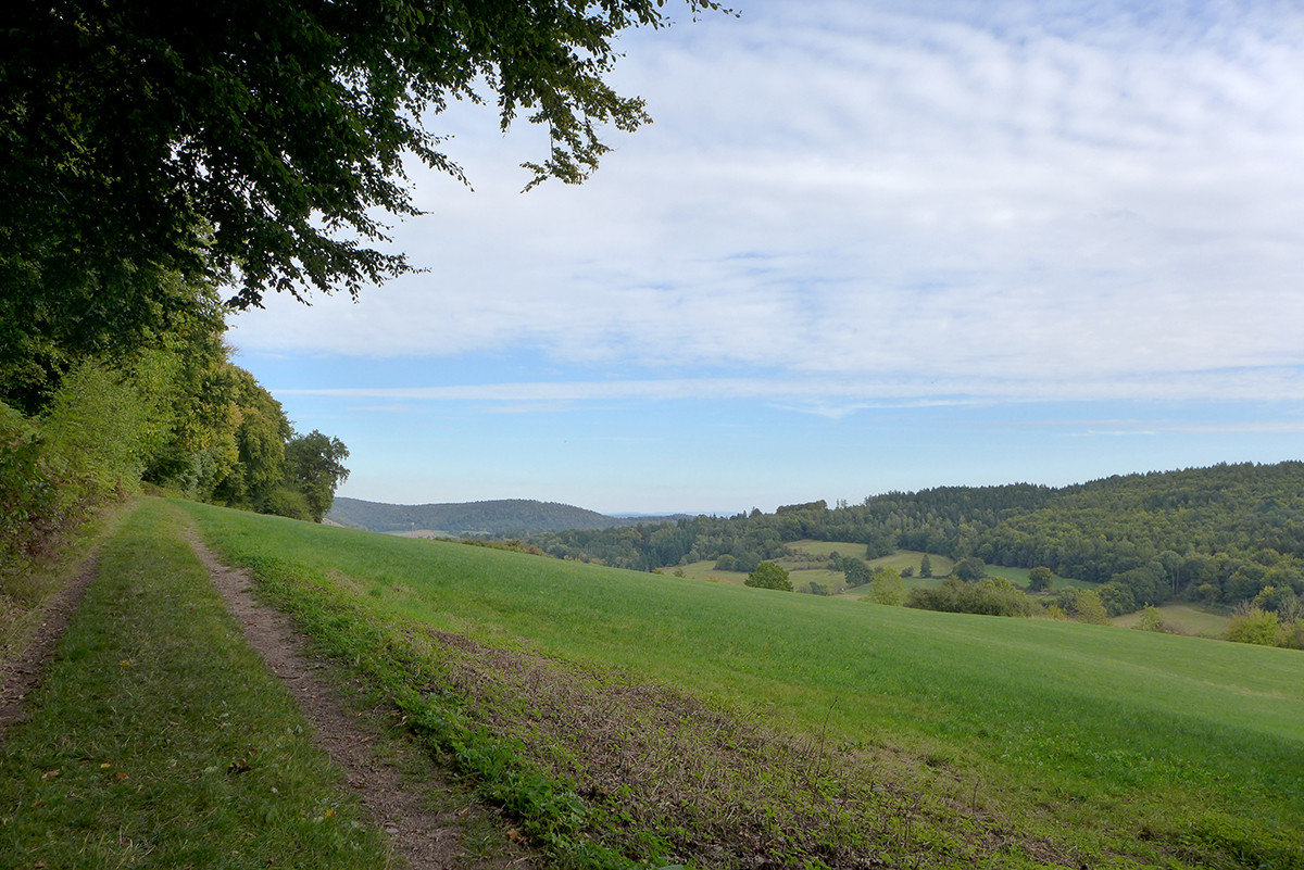 Klicke auf die Grafik für eine vergrößerte Ansicht  Name: Weserberglandweg_677.jpg Ansichten: 0 Größe: 358,8 KB ID: 3345042
