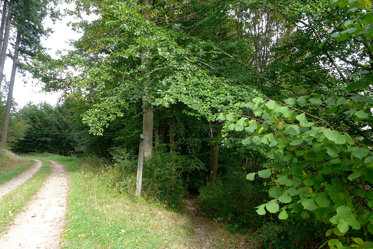 Klicke auf die Grafik für eine vergrößerte Ansicht  Name: Weserberglandweg_679.jpg Ansichten: 0 Größe: 671,4 KB ID: 3345045