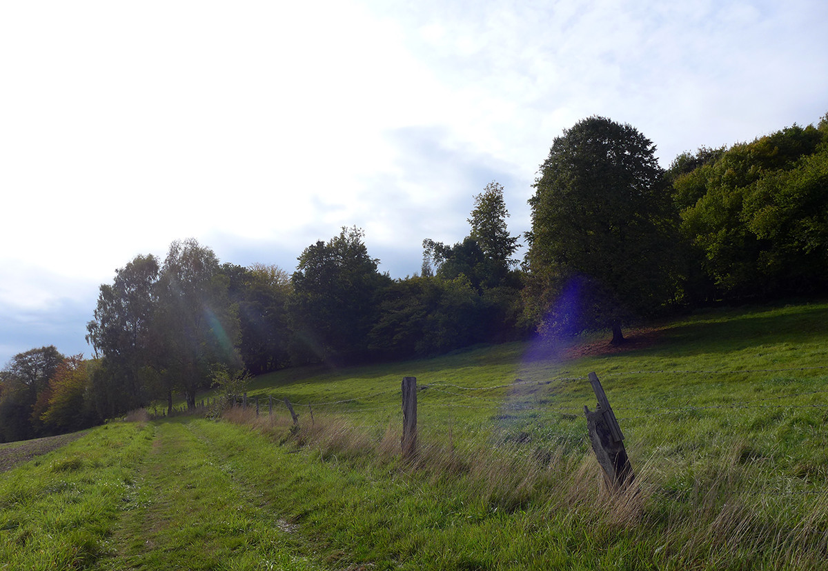 Klicke auf die Grafik für eine vergrößerte Ansicht  Name: Weserberglandweg_686.jpg Ansichten: 0 Größe: 314,8 KB ID: 3345047