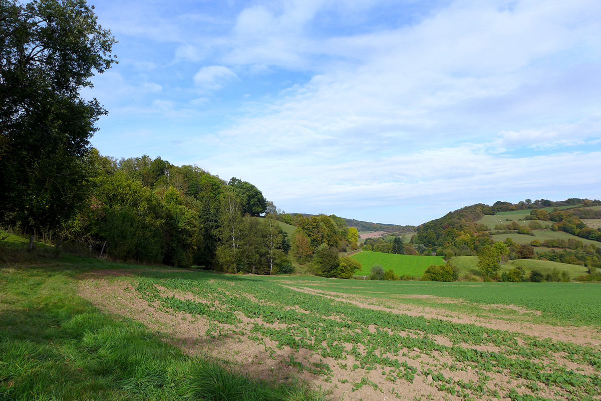 Klicke auf die Grafik für eine vergrößerte Ansicht  Name: Weserberglandweg_685.jpg Ansichten: 0 Größe: 413,6 KB ID: 3345049
