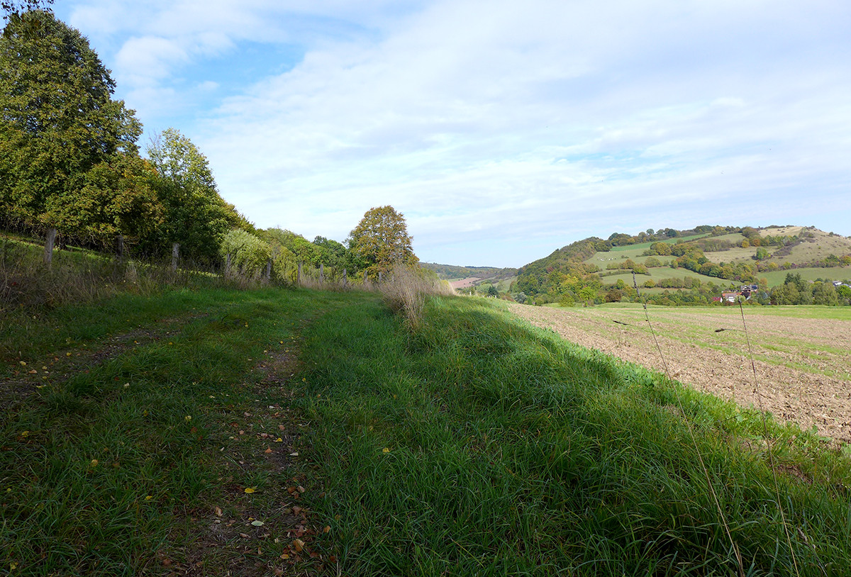 Klicke auf die Grafik für eine vergrößerte Ansicht  Name: Weserberglandweg_684.jpg Ansichten: 0 Größe: 444,1 KB ID: 3345050
