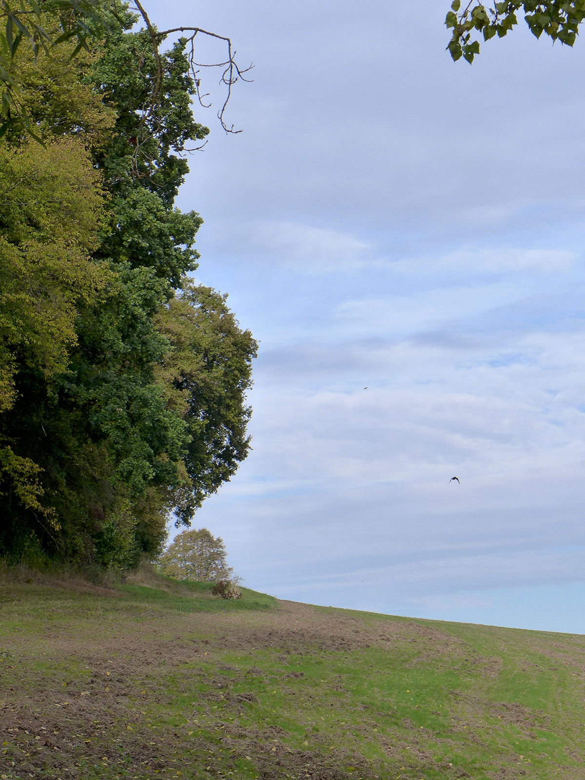 Klicke auf die Grafik für eine vergrößerte Ansicht  Name: Weserberglandweg_682.jpg Ansichten: 0 Größe: 653,9 KB ID: 3345051