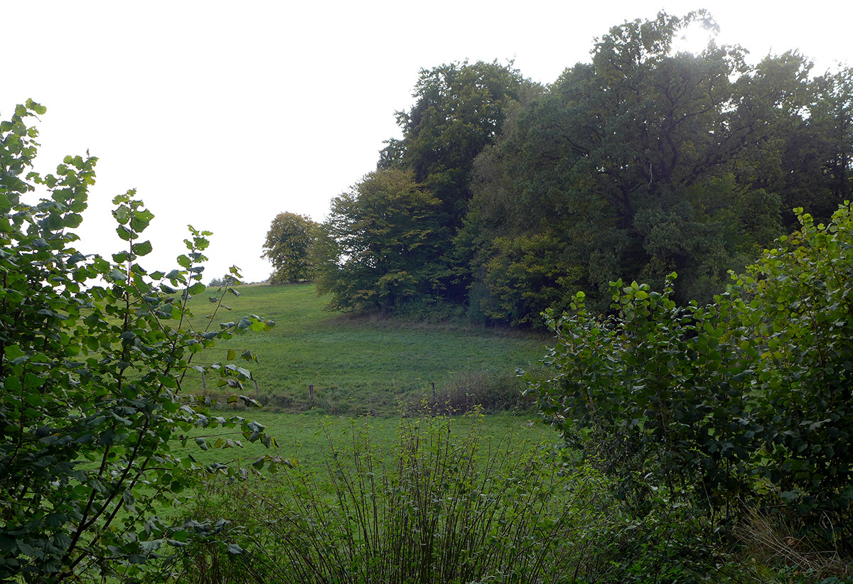 Klicke auf die Grafik für eine vergrößerte Ansicht  Name: Weserberglandweg_689.jpg Ansichten: 0 Größe: 463,6 KB ID: 3345053