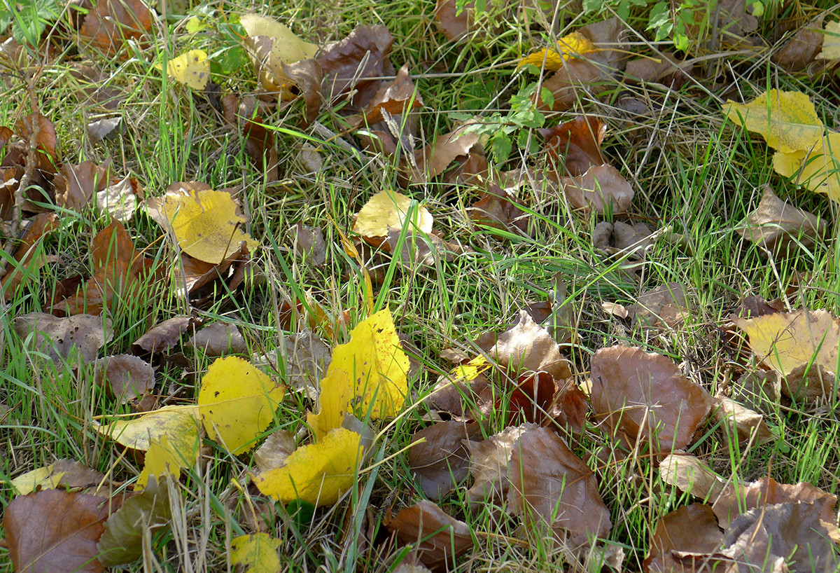 Klicke auf die Grafik für eine vergrößerte Ansicht  Name: Weserberglandweg_687.jpg Ansichten: 0 Größe: 651,0 KB ID: 3345055