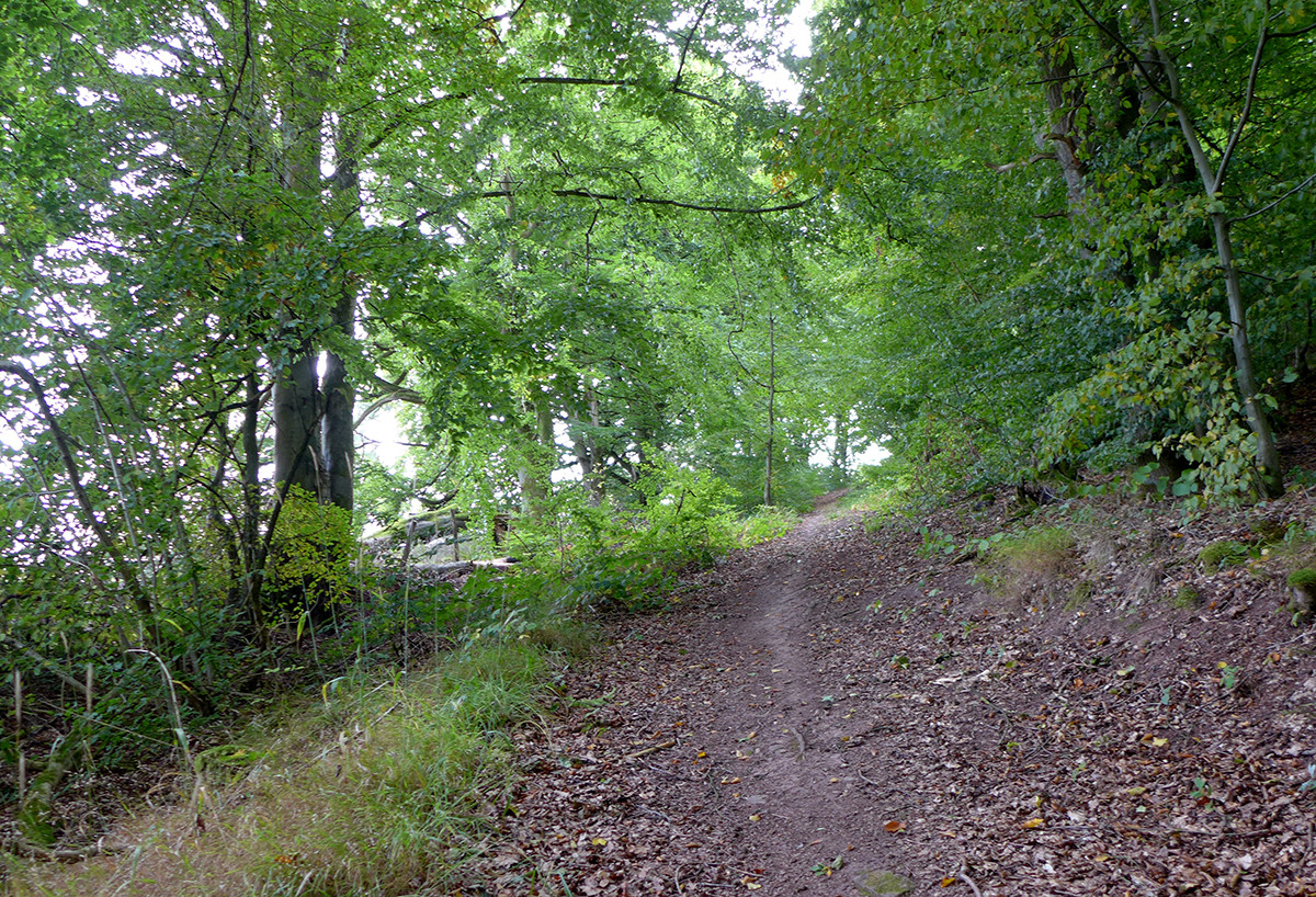 Klicke auf die Grafik für eine vergrößerte Ansicht  Name: Weserberglandweg_690.jpg Ansichten: 0 Größe: 702,2 KB ID: 3345057