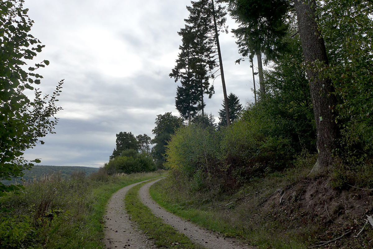 Klicke auf die Grafik für eine vergrößerte Ansicht  Name: Weserberglandweg_692.jpg Ansichten: 0 Größe: 443,7 KB ID: 3345058