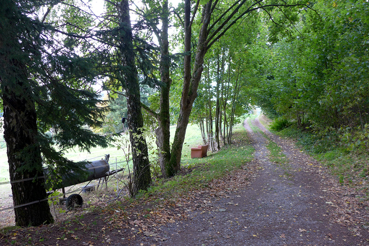 Klicke auf die Grafik für eine vergrößerte Ansicht  Name: Weserberglandweg_694.jpg Ansichten: 0 Größe: 616,3 KB ID: 3345060