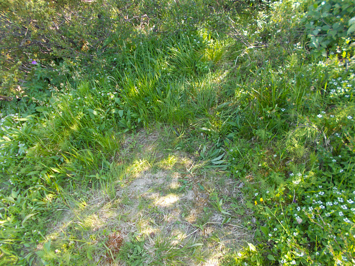 Klicke auf die Grafik für eine vergrößerte Ansicht  Name: DSCN0559.jpg Ansichten: 0 Größe: 1,35 MB ID: 3345536