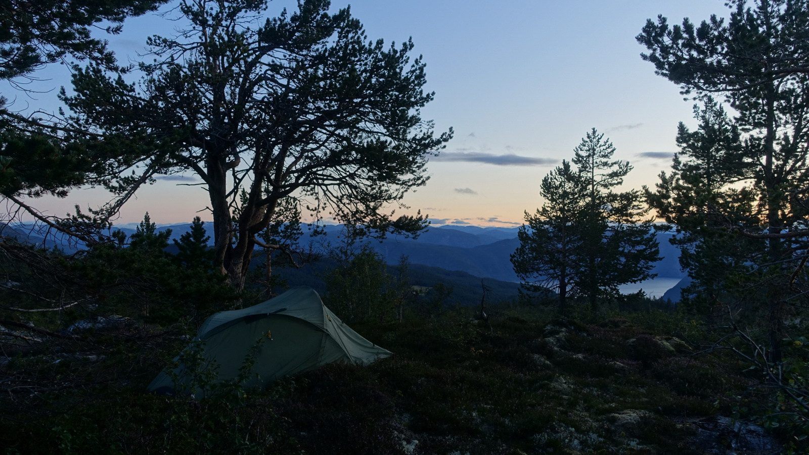 Klicke auf die Grafik für eine vergrößerte Ansicht

Name: 2025 Norge 0050_resize.jpg
Ansichten: 612
Größe: 720,1 KB
ID: 3345628