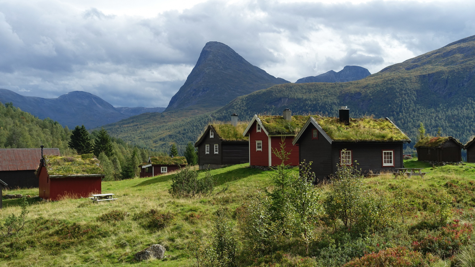Klicke auf die Grafik für eine vergrößerte Ansicht

Name: 2025 Norge 0094_resize.jpg
Ansichten: 591
Größe: 770,3 KB
ID: 3345680