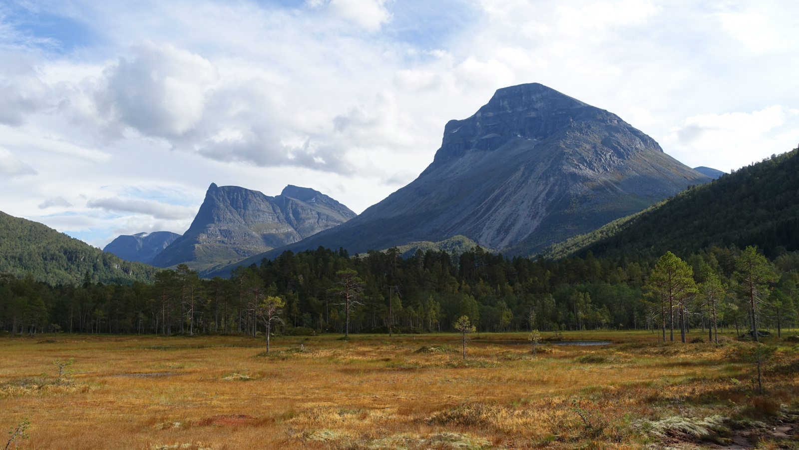 Klicke auf die Grafik für eine vergrößerte Ansicht

Name: 2025 Norge 0137_resize.jpg
Ansichten: 569
Größe: 574,0 KB
ID: 3345716