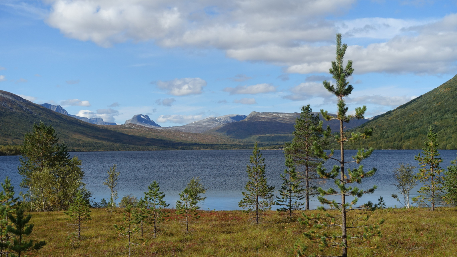 Klicke auf die Grafik für eine vergrößerte Ansicht

Name: 2025 Norge 0143_resize.jpg
Ansichten: 579
Größe: 711,0 KB
ID: 3345721