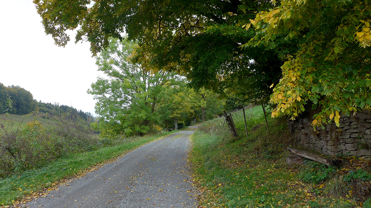 Klicke auf die Grafik für eine vergrößerte Ansicht  Name: Weserberglandweg_698.jpg Ansichten: 28 Größe: 494,4 KB ID: 3346297