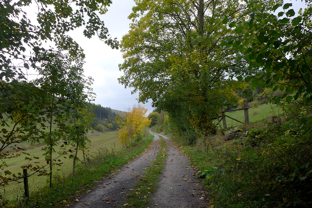 Klicke auf die Grafik für eine vergrößerte Ansicht  Name: Weserberglandweg_700.jpg Ansichten: 28 Größe: 588,2 KB ID: 3346298