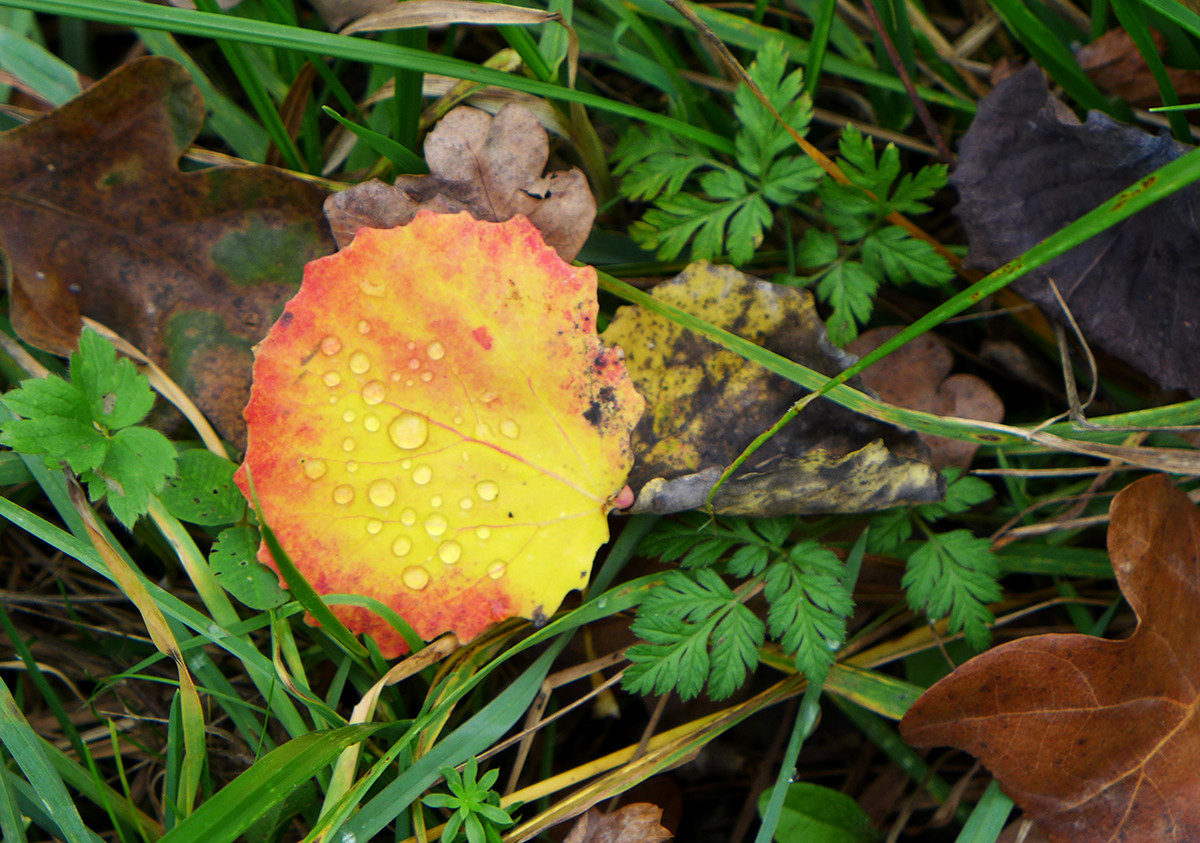 Klicke auf die Grafik für eine vergrößerte Ansicht  Name: Weserberglandweg_704.jpg Ansichten: 28 Größe: 373,2 KB ID: 3346300