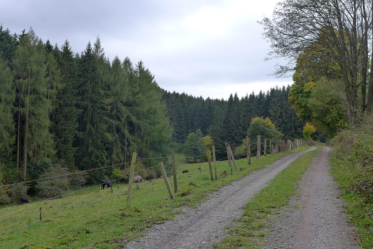 Klicke auf die Grafik für eine vergrößerte Ansicht  Name: Weserberglandweg_708.jpg Ansichten: 28 Größe: 443,6 KB ID: 3346306
