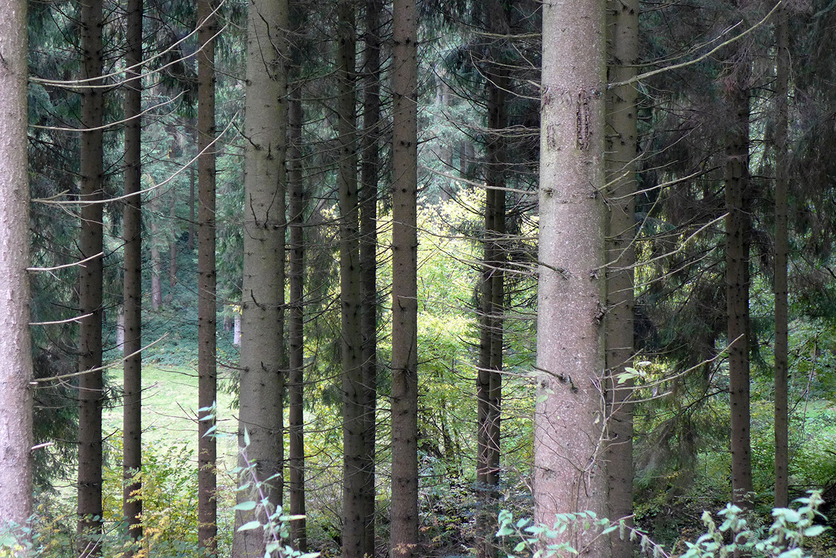 Klicke auf die Grafik für eine vergrößerte Ansicht  Name: Weserberglandweg_709.jpg Ansichten: 27 Größe: 538,7 KB ID: 3346307